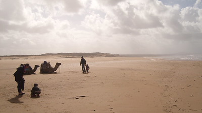 Paseo Camello por la playa
