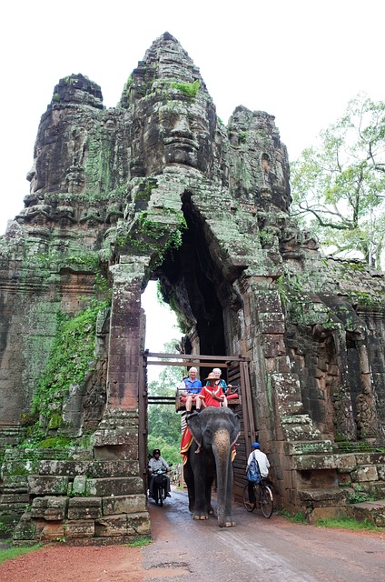 elefantes en siem reap