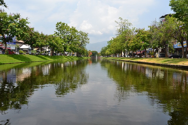 rio chiang mai